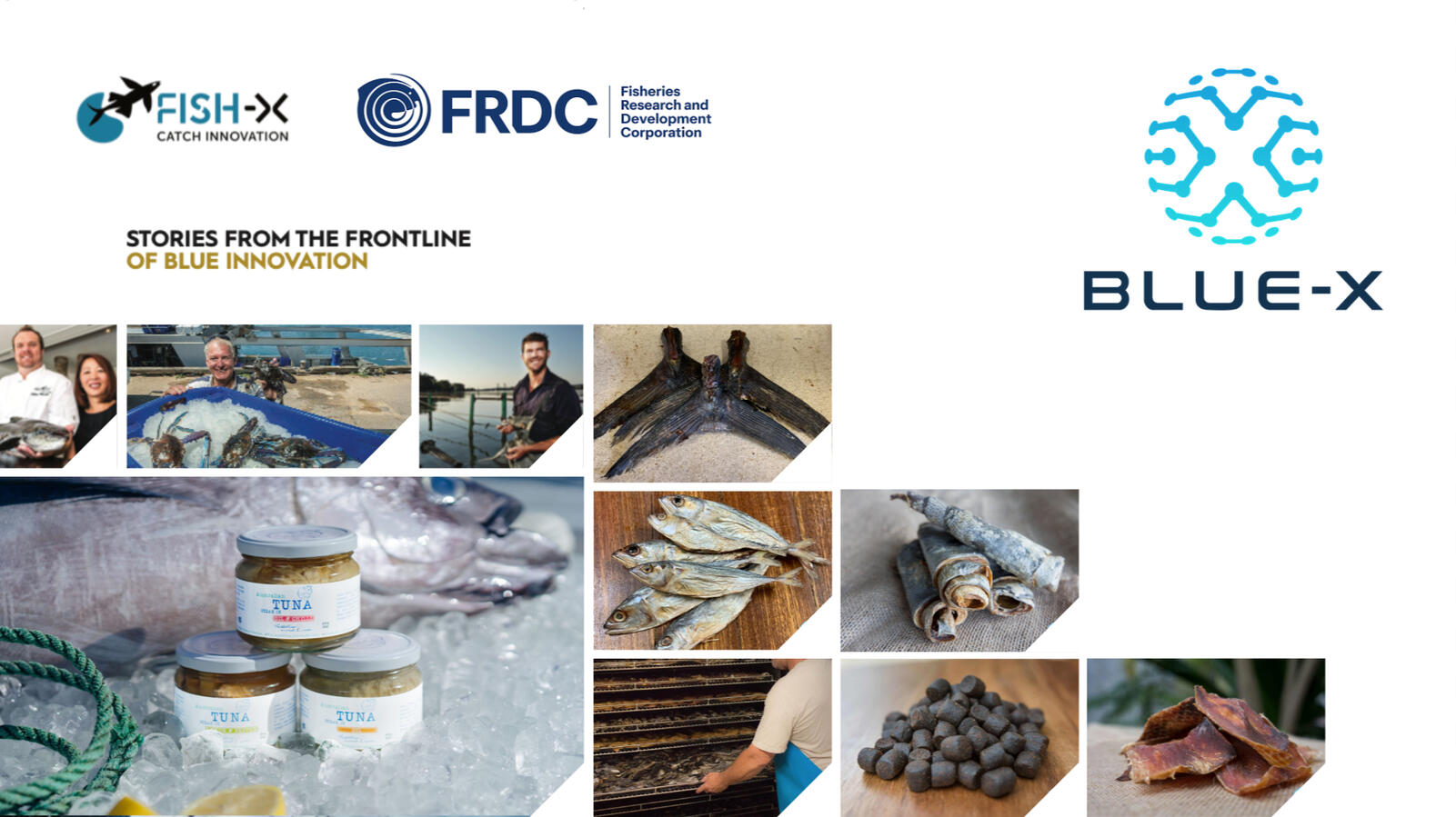 Fish-X Case Studies